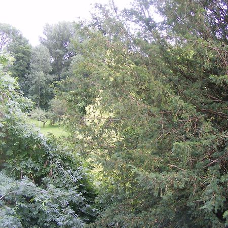 Les Lilas Des Deux Ponts Deux Rivieres Exteriér fotografie